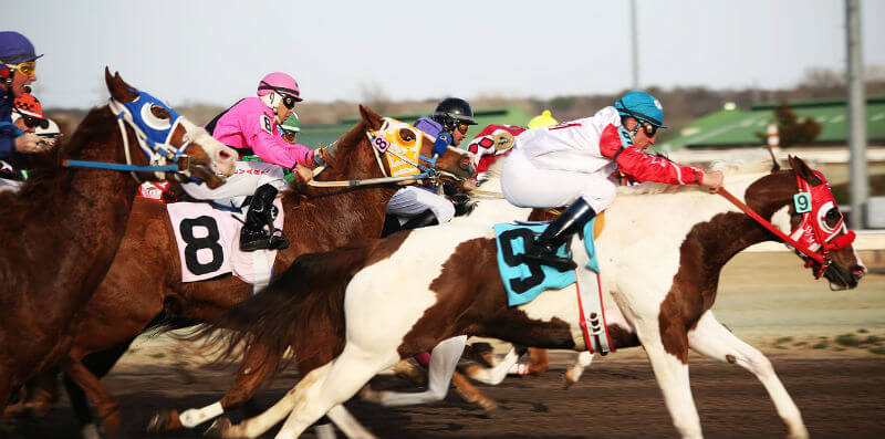 horse race