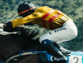 cheltenham festival betting