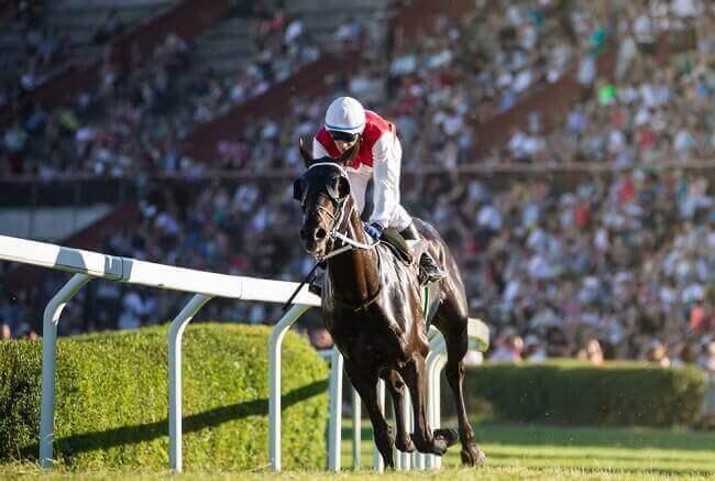 royal ascot horse racing