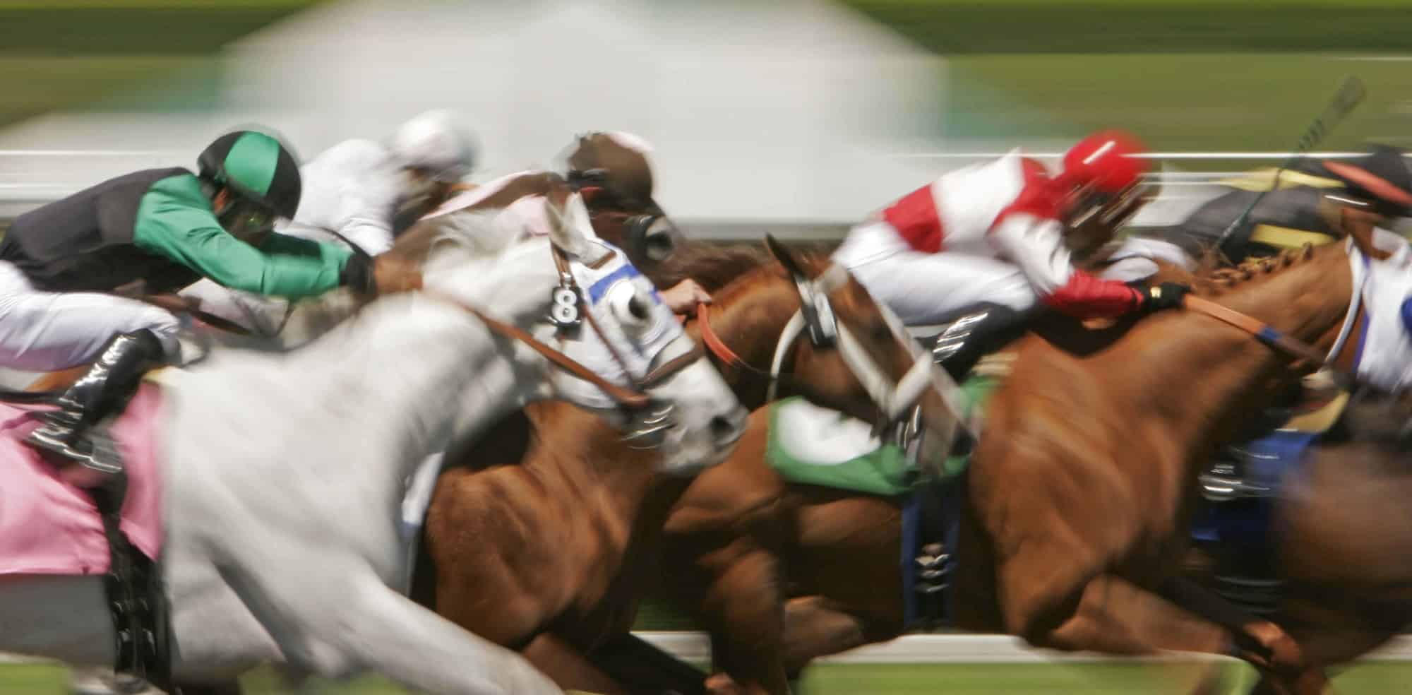 Betting promo code - horse racing